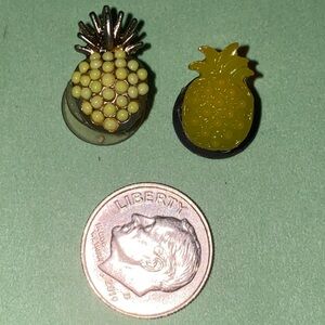 (10 for $15) 2 Pineapples Metal & plastic Jewelry Food Fruit  for Croc Charms